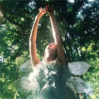 寅次郎的故事：寅次郎芙蓉花特别篇